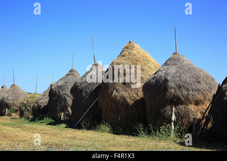 Landwirtschaft in der Maramures, Rumänien, traditionelle Scheune Stockfoto