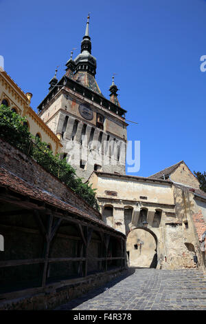 Der Uhrturm, Turnul cu Ceas, Sighisoara, Sighisoara/Schäßburg, Saxoburgum, Mures County in Siebenbürgen, Rumänien. Seine historischen cent Stockfoto