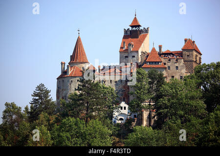 Das Schloss Bran, Dracula-Schloss, Brasov County, Siebenbürgen, Rumänien Stockfoto