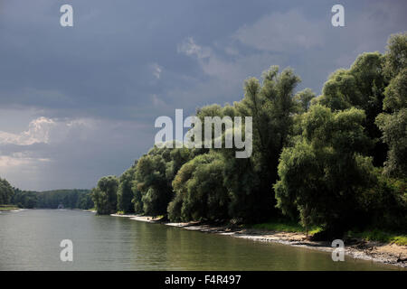 Donau-Delta Biosphären-Reservat, in der Nähe von Tulcea, Rumänien Stockfoto