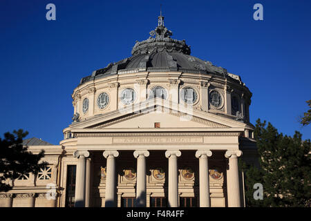 Der rumänischen Athenaeum, Rumänisch: Ateneul Roman ist ein Konzertsaal im Zentrum von Bukarest Stockfoto