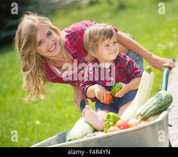 Mutter und Sohn mit Gemüse im Garten zu ernten. kleiner Junge sitzt in der Schubkarre Stockfoto