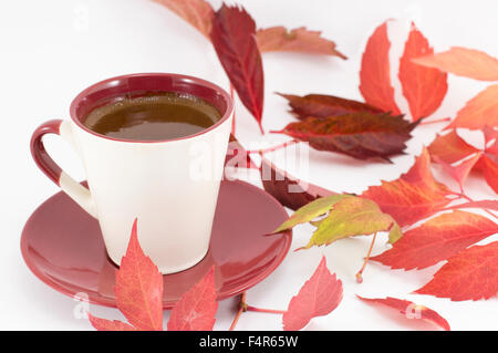 Tasse Kaffee und roten Herbstlaub. Fallzeit Kaffee Stockfoto