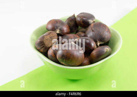 Frische Kastanien in einer grünen Schale auf zwei Farben Hintergrund Stockfoto