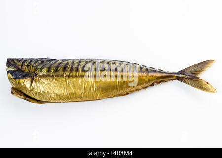 Frisch geräucherte schöne Makrele isoliert auf weiss. Stockfoto