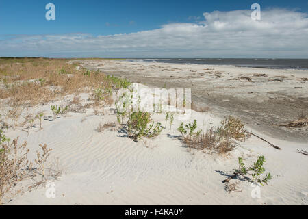 USA, USA, Amerika, Georgia, südliche, kleine St. Simons Island, Meer Inseln, Ostküste, Sand, Düne, Küste, Küste, b Stockfoto