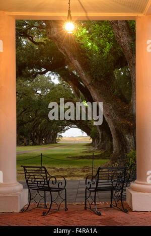 USA, USA, Amerika, Louisiana, St. James Parish, Vacherie, Oak Alley Plantation, Terrasse, Gasse, südliche, lebendigen, Deck, Stockfoto