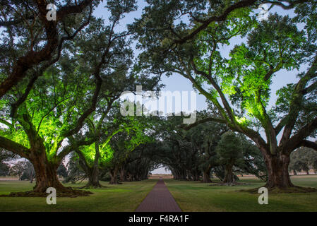 USA, USA, Amerika, Louisiana, St. James Parish, Vacherie Oak Alley Plantation, südliche, Pflanzer, Dixie, Reisen, rive Stockfoto