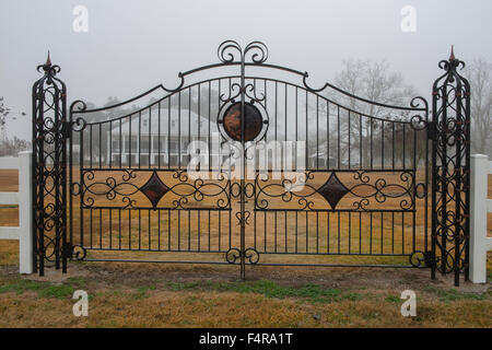 USA, USA, Amerika, Louisiana, St. James Parish, Vacherie, er Süden, Süden, Mansion, Pflanzer, Dixie, Reisen, Nebel, pl Stockfoto