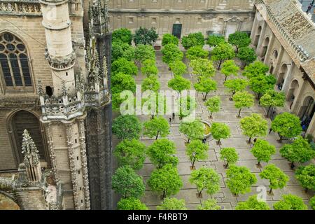 Patio de Los Naranjos, Terrasse der Orangen, aus dem Giralda Bell Tower, Kathedrale von Sevilla, Andalusien, Spanien, Europa Stockfoto