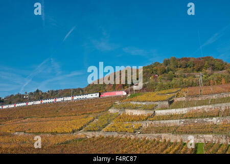 Schweiz, Weltkulturerbe, kulturelles Erbe, Weinbau, Weinberge, Wein, Verkehr, Eisenbahn, Zug, Feature, Herbst, Stockfoto