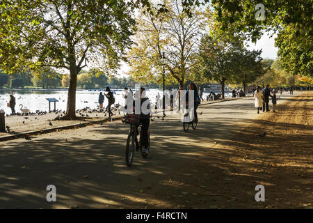 London Park. Hyde Park London. Hyde Park Serpentine, Herbst. London, England, Großbritannien. Stockfoto