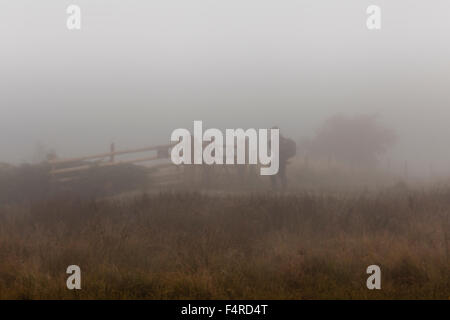 Heide-Walker im Nebel, Derbyshire Stockfoto