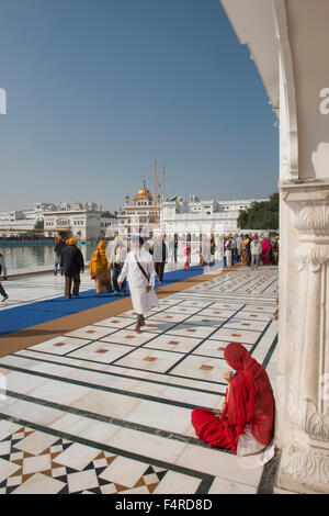 Asien, Indien, Punjab, Amritsar, Goldener Tempel, Religion, Sikh, Schrein, Heiligen, Pilger, vertikal, Teich, Pilger Stockfoto