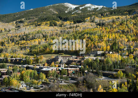 USA, USA, Amerika, Colorado, Rockies, Snowmass, Dorf, Herbst, Laub, Herbst, Aspen, Wald, Bäume, Natur, Berg Stockfoto