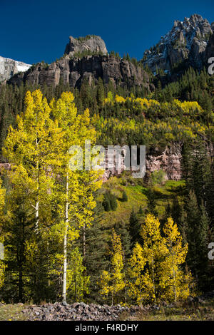 USA, USA, Amerika, Colorado, San Miguel County, San Juan, Berge, Telluride, Berg, Landschaft, Aspen, Herbst, Laub Stockfoto