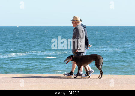 Ältere Paare, die ihre Windhund entlang die Schritte am Oddicombe Strand an sonnigen Tag in Torquay, Devon, England Stockfoto