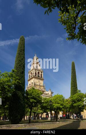 Torre del Alminar Glockenturm, Moschee von Cordoba oder Mezquita, Andalusien, Spanien, Europa Stockfoto