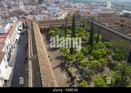 Patio de Los Naranjos, Orangenbaum-Garten, vom Glockenturm, Mezquita, Córdoba, Andalusien, Spanien Stockfoto