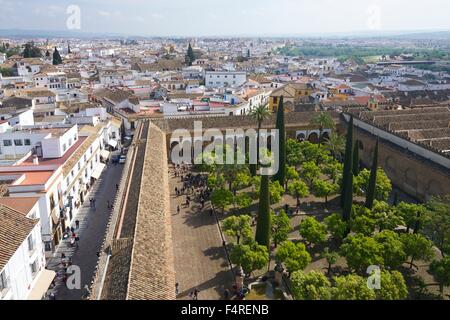 Patio de Los Naranjos, Orangenbaum-Garten, vom Glockenturm, Mezquita, Córdoba, Andalusien, Spanien Stockfoto