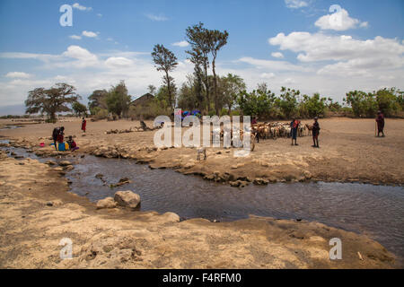 Afrika, Dorf, Halbwüste, Domestizierte Tiere, Häuser, Häuser, Kinder, Landschaft, Landschaft, Massai, Menschen, Personen, Reisen, St. Stockfoto