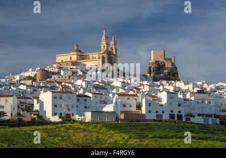 Andalusien, Region, Provinz Cadiz, Landschaft, Olvera, Town, Spanien, Europa, Frühling, Architektur, Schloss, bunt, grün, keine Pe Stockfoto