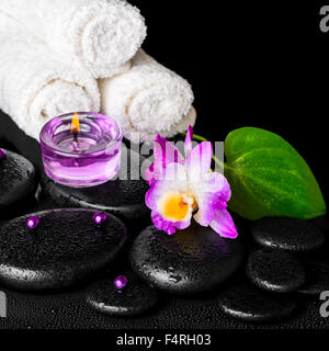 wunderschöne Spa-Konzept von lila Orchidee Dendrobium mit Tau, schwarzen Zen Stone, grünes Blatt, Perlen, Handtücher und lila Kerzen, closeu Stockfoto