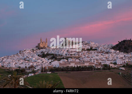 Andalusien, Region, Provinz Cadiz, Landschaft, Olvera, Town, Spanien, Europa, Frühling, Architektur, Burg, bunt, keine Menschen, p Stockfoto