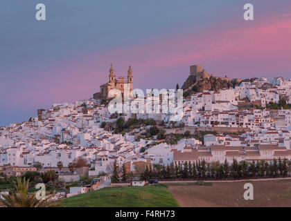 Andalusien, Region, Provinz Cadiz, Landschaft, Olvera, Town, Spanien, Europa, Frühling, Architektur, Burg, bunt, keine Menschen, p Stockfoto