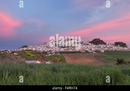 Andalusien, Region, Provinz Cadiz, Landschaft, Olvera, Town, Spanien, Europa, Frühling, Architektur, Burg, bunt, keine Menschen, p Stockfoto