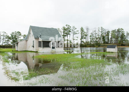 Ein Haus, umgeben von Hochwasser, ländlichen Maryland USA Stockfoto