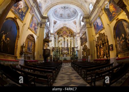 Innenraum der Kirche, Hospital Santa Caridad, Sevilla, Andalusien, Spanien, Europa Stockfoto