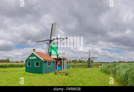 Niederlande, Europa, Holland, Westzaan, Noord-Holland, Windmühle, Feld, Wiese, Sommer, Wolken, De Jonge Dirk Stockfoto