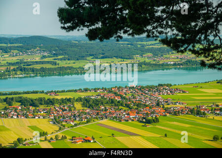 Allgäu, Alpen, Bayern, Deutschland, Europa, Forggensee, Füssen, Hopfensee, Ostallgäu, Panorama, schwäbische, Seenlandschaft, Tegelberg, Wa Stockfoto