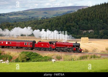 Dampf-Lokomotive LMS Jubilee Klasse 45699 Galatea in der Nähe von Low Baron Holz Bauernhof, Armathwaite, Eden Valley, Cumbria, England, UK. Stockfoto