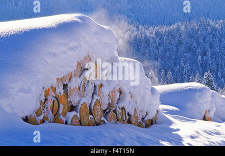 Holzganter mit Trunks in Seegatterl, Gemeinde Reit Im Winkl, Chiemgau, Oberbayern Stockfoto