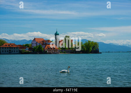 Barocke Kirche, Bayern, Bodensee, Bodensee, Christentum, Deutschland, Europa, Halbinsel, Kirche, Lindau, Antenne Gesundheit wieder Stockfoto