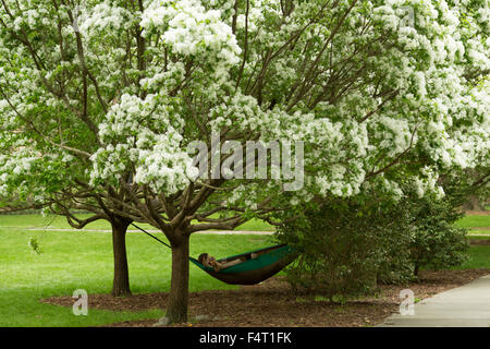 Ein Foto von einem anonymen Ehepaar zum Entspannen in der Hängematte unter einem Kirschbaum im Forsyth Park in Savannah, Georgia. Stockfoto