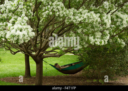 Ein Foto von einem anonymen Ehepaar zum Entspannen in der Hängematte unter einem Kirschbaum im Forsyth Park in Savannah, Georgia. Stockfoto