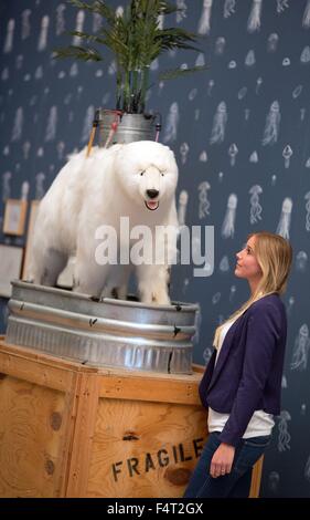 Herford, Deutschland. 22. Oktober 2015. Ein Besucher schaut der Installation erstellt von US-Künstler Marc Dion unter dem Titel "Eisberg & Palm Trees" ab 2007 im Museum Marta Herford, Deutschland, 22. Oktober 2015. Die Ausstellung mit dem Titel "Wayward Wildnis" läuft vom 24. Oktober 2015 bis 7. Februar 2016. Foto: OLIVER KRATO/Dpa/Alamy Live News Stockfoto