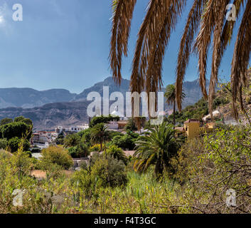 Spanien, Europa, Santa Lucia, Gran Canaria, Kanarische Inseln, Santa Lucia, Stadt, Dorf, Wald, Holz, Bäume, Sommer, Berge, Hallo Stockfoto