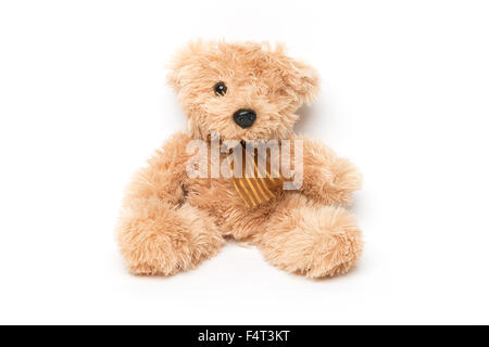 Teddybär Spielzeug isoliert auf weißem Hintergrund Stockfoto