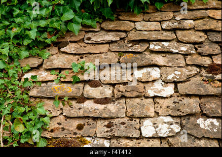 Nahaufnahme eines traditionellen Ziegeldachs mit Flechten und Efeu in den Cotswolds Stockfoto