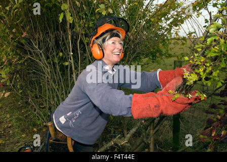 Die einzige weibliche Konkurrenten Teilnahme an den jährlichen Meisterschaften Hampshire Hedgelaying, Medstead, in der Nähe von Alton, Hampshire, UK. Stockfoto