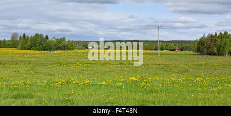 Blick über Ackerland, Blumen und Bauernhäuser im Juni. Wald und Hügeln im Hintergrund. Electrical Zeile dieser Seite. Stockfoto