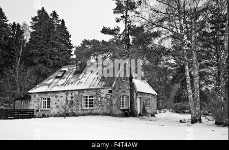 Urige rustikale Hütte im Schnee im Wald auf dem Rothiemurchus Estate, in der Nähe von Aviemore, die Cairngorms Highland Scotland UK Stockfoto