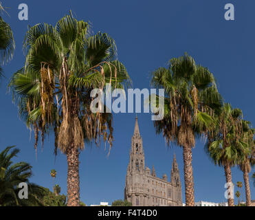 Spanien, Europa, Arucas, Gran Canaria, Kanarische Inseln, Parroquia de San Juan Bautista, Kirche, Kloster, Wald, Holz, Bäume, Summe Stockfoto