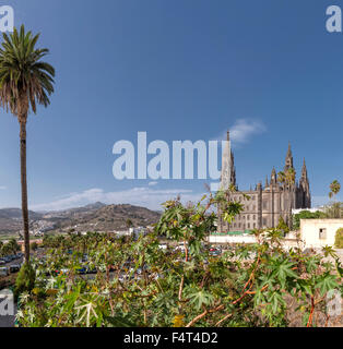 Spanien, Europa, Arucas, Gran Canaria, Kanarische Inseln, Parroquia de San Juan Bautista, Kirche, Kloster, Wald, Holz, Bäume, Summe Stockfoto