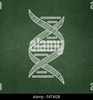 Wissenschaft-Konzept: DNA auf Tafel Hintergrund Stockfoto