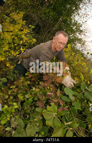 Mann, die Teilnahme an den jährlichen Meisterschaften Hampshire Hedgelaying, Medstead, in der Nähe von Alton, Hampshire, UK. Stockfoto